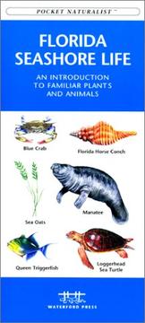 Cover of: Florida Seashore Life by James Kavanagh