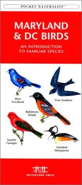 Cover of: Maryland & DC Birds