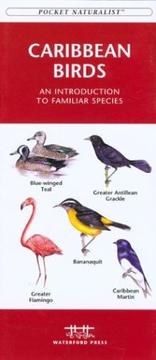 Caribbean Birds by James Kavanagh