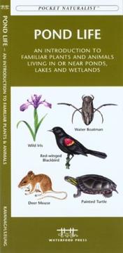 Cover of: Pond Life, 2nd: An Introduction to Familiar Plants and Animals Living In or Near Ponds, Lakes and Wetlands