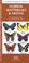 Cover of: Florida Butterflies & Moths