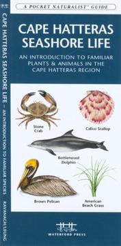 Cover of: Cape Hatteras Seashore Life by James Kavanagh