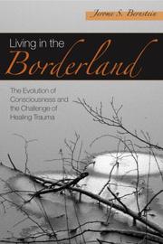 Cover of: Living in the borderland by Jerome S. Bernstein
