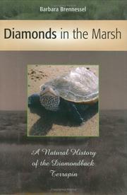 Diamonds in the marsh by Barbara Brennessel