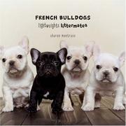 Cover of: French Bulldogs: Lightweights Littermates