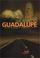 Cover of: The Road to Guadalupe