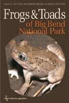 Cover of: Frogs and Toads of Big Bend National Park (W. L. Moody, Jr. Natural History Series)