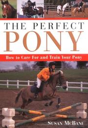 Cover of: The perfect pony