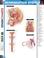 Cover of: Reproductive System