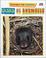 Cover of: Casas de Animales