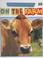 Cover of: On the Farm