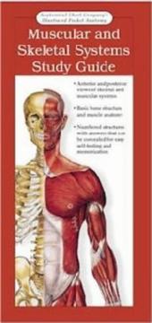 Cover of: Illustrated Pocket Anatomy: Muscular And Skeletal Systems Study Guide: (laminated Card, Single Copy, No Tab) (Illustrated Pocket Anatomy)
