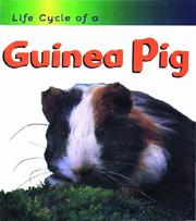 Cover of: Guinea Pig (Life Cycle of a)