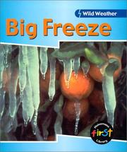 Cover of: Big Freeze (Wild Weather)