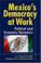Cover of: Mexico's Democracy At Work
