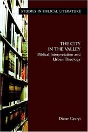 Cover of: The city in the valley: biblical interpretation and urban theology