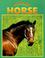 Cover of: Horse (Caring for Your Pet)