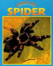 Cover of: Spider (Caring for Your Pet)