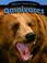 Cover of: Omnivores (Nature's Food Chain)
