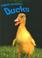 Cover of: Ducks (Farm Animals)