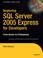 Cover of: Beginning SQL Server 2005 Express for Developers