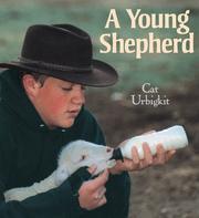 Cover of: A Young Shepherd