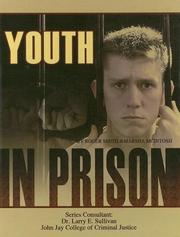 Cover of: Youth in Prison (Incarceration Issues: Punishment, Reform, and Rehabilitation)
