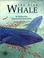 Cover of: The Blue Whale (Creature Club)