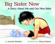 Cover of: Big Sister Now: A Story About Me and Our New Baby