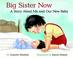 Cover of: Big Sister Now