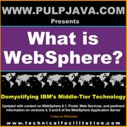 Cover of: What is WebSphere? Java, J2EE, Portal and Beyond! (Demystifying IBM's Middle Tier Technology, Vol. 1) by Cameron McKenzie