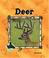 Cover of: Deer (Animal Kingdom Set II)