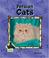 Cover of: Persian Cats (Animal Kingdom Set II)