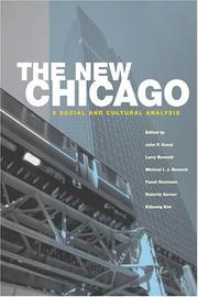 Cover of: The new Chicago: a social and cultural analysis