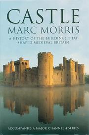 Cover of: Castle: A History of the Buildings That Shaped Medieval Britain