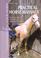 Cover of: Practical Horse Massage (Understanding Your Horse)