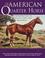 Cover of: The American Quarter Horse