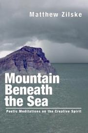 Cover of: Mountain Beneath the Sea | Matthew Zilske