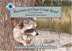 Cover of: Raccoon At Clear Creek Road (Smithsonian Backyard)