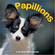Cover of: Papillions 2007 Wall Calendar