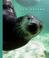 Cover of: Sea Otters (The World of Mammals)