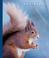 Cover of: Squirrels (The World of Mammals)