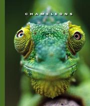 Cover of: Chameleons