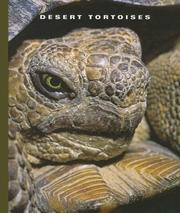 Cover of: Desert tortoises by Sophie Lockwood