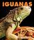 Cover of: Iguanas (New Naturebooks)