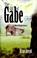 Cover of: The Gift of Gabe