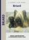 Cover of: Briard (Comprehensive Owner's Guide)