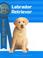 Cover of: Labrador retriever