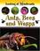 Cover of: Ants, Bees and Wasps (Looking at Minibeasts)
