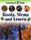 Cover of: Roots, Stems and Leaves (Looking at Plants)